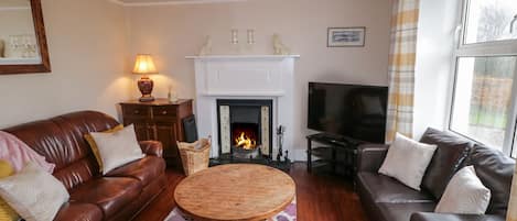 Téléviseur à écran plat, lecteur de DVD