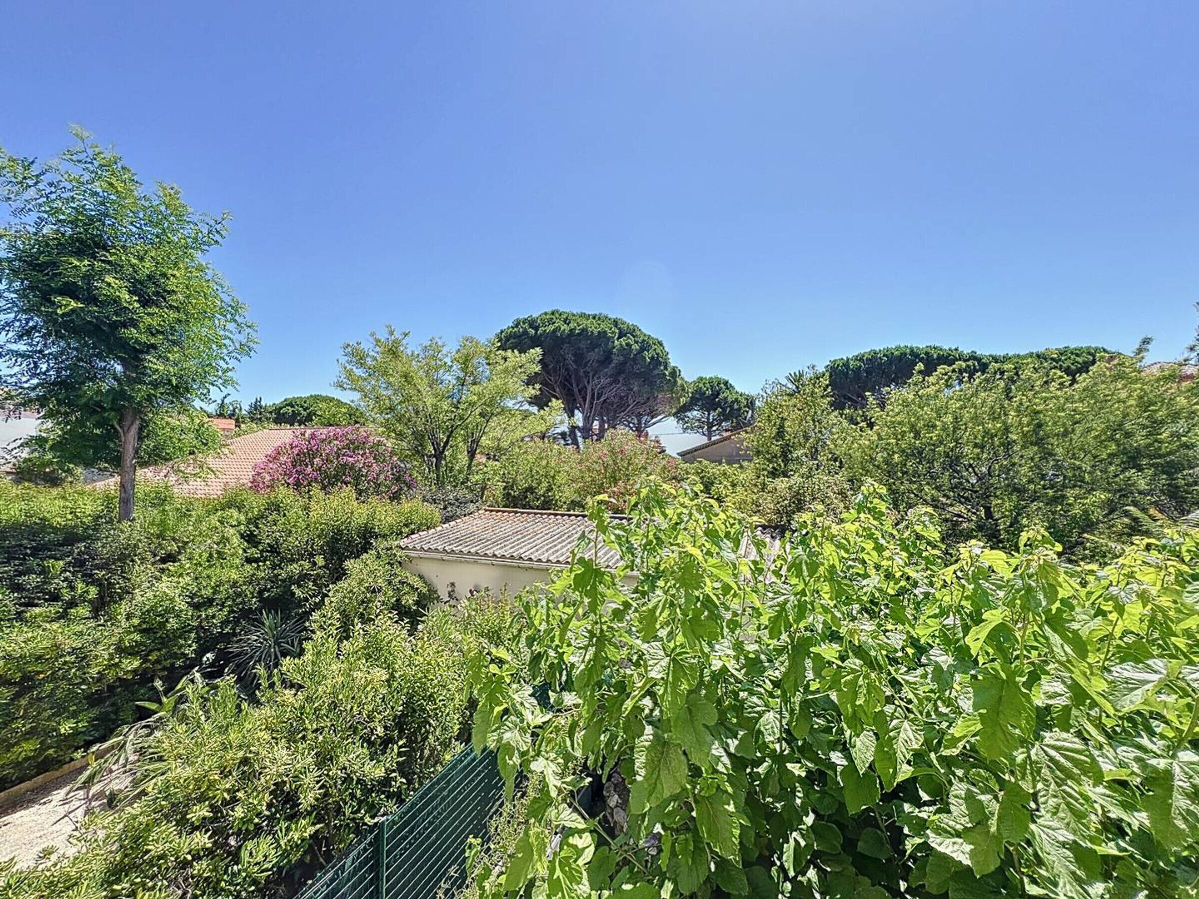 Un jardin luxuriant, avec une variété de plantes et d’arbres, un petit bâtiment doté d’un toit en tuiles et un ciel bleu dégagé.