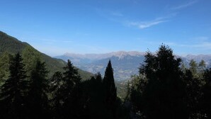 A mountainous landscape with dense forest in the foreground and a clear blue sky.