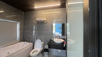 Secador de cabelo, toalhas de banho, sabonete, shampoo