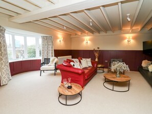 Fireplace - Dant Y Llew (Bow Street)