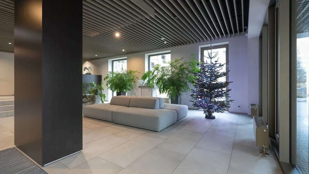 A modern interior with a sectional sofa, potted plants, and a Christmas tree.