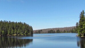 A calm lake surrounded by dense forest. - Ferienhauspark Hasselfelde (Oberharz am Brocken)