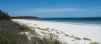 Plumeria – 350m to beach track, pet friendly