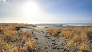 Un sentier bordant la plage, avec de l’herbe sèche et du sable, qui mène à l’océan.