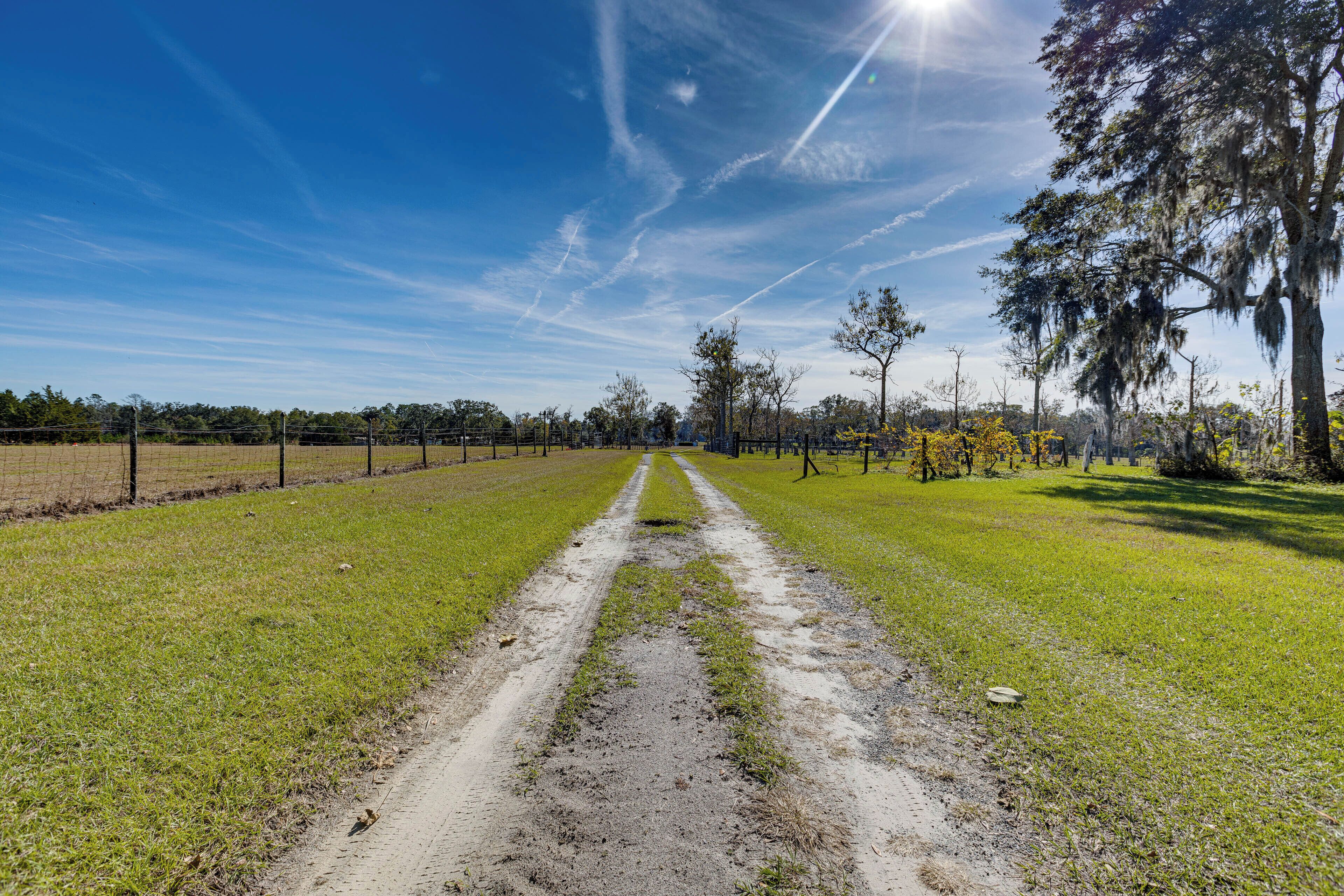A dirt path leading through a grassy field with trees and a fence in the background.