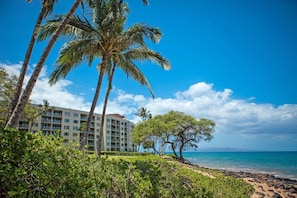 A beachfront hotel with palm trees, a clear sky, and the ocean. - Royal Mauian 512 2 Bedroom Condo (Kihei)