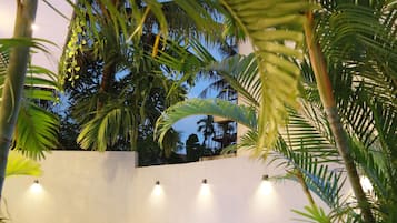 A swimming pool surrounded by lush greenery, with a modern wall and a few lights.