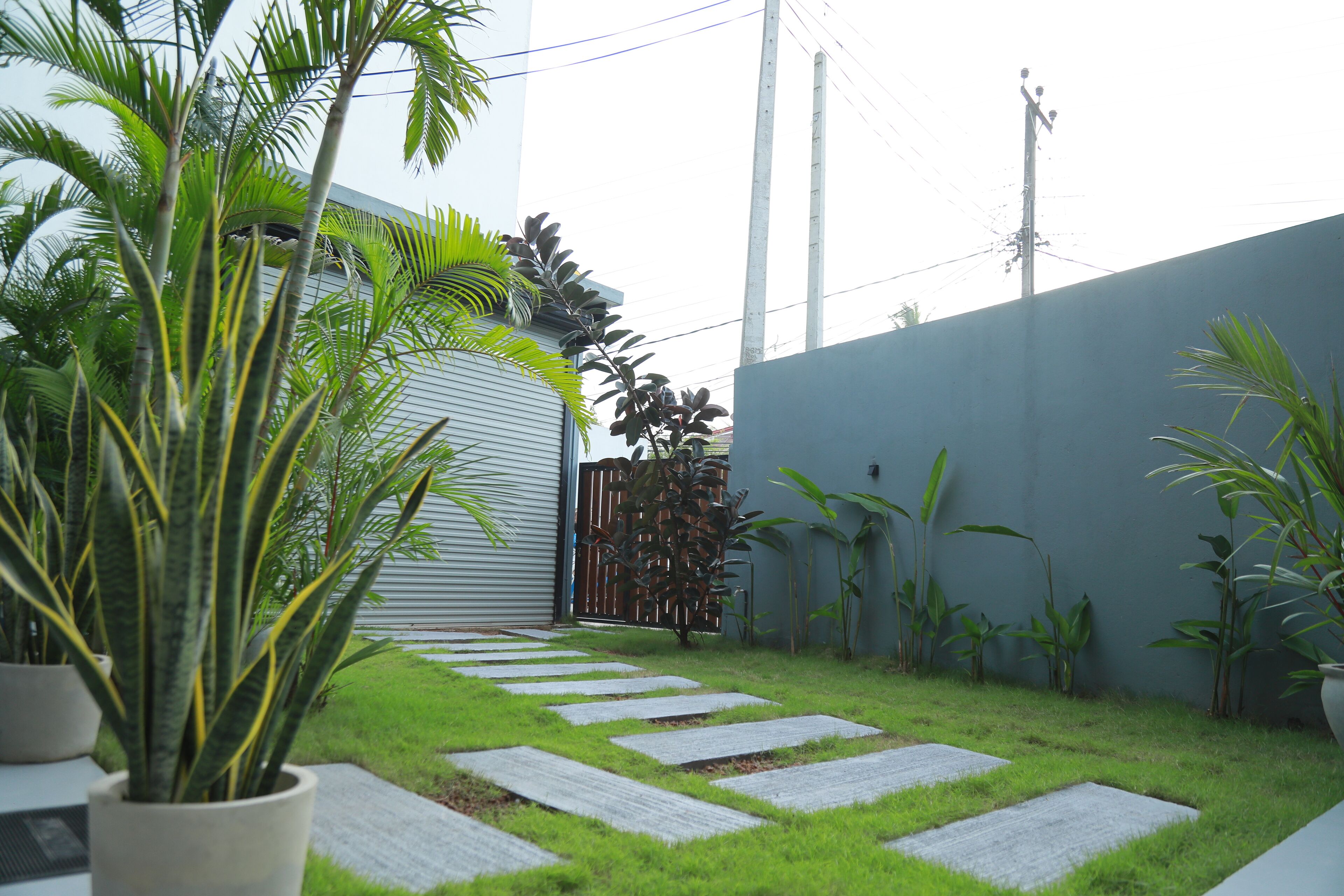 Un jardin avec un chemin, des plantes en pot et une clôture.
