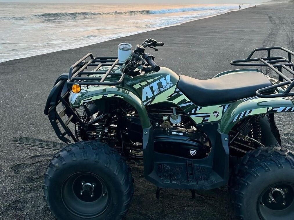 Servicio de la propiedad