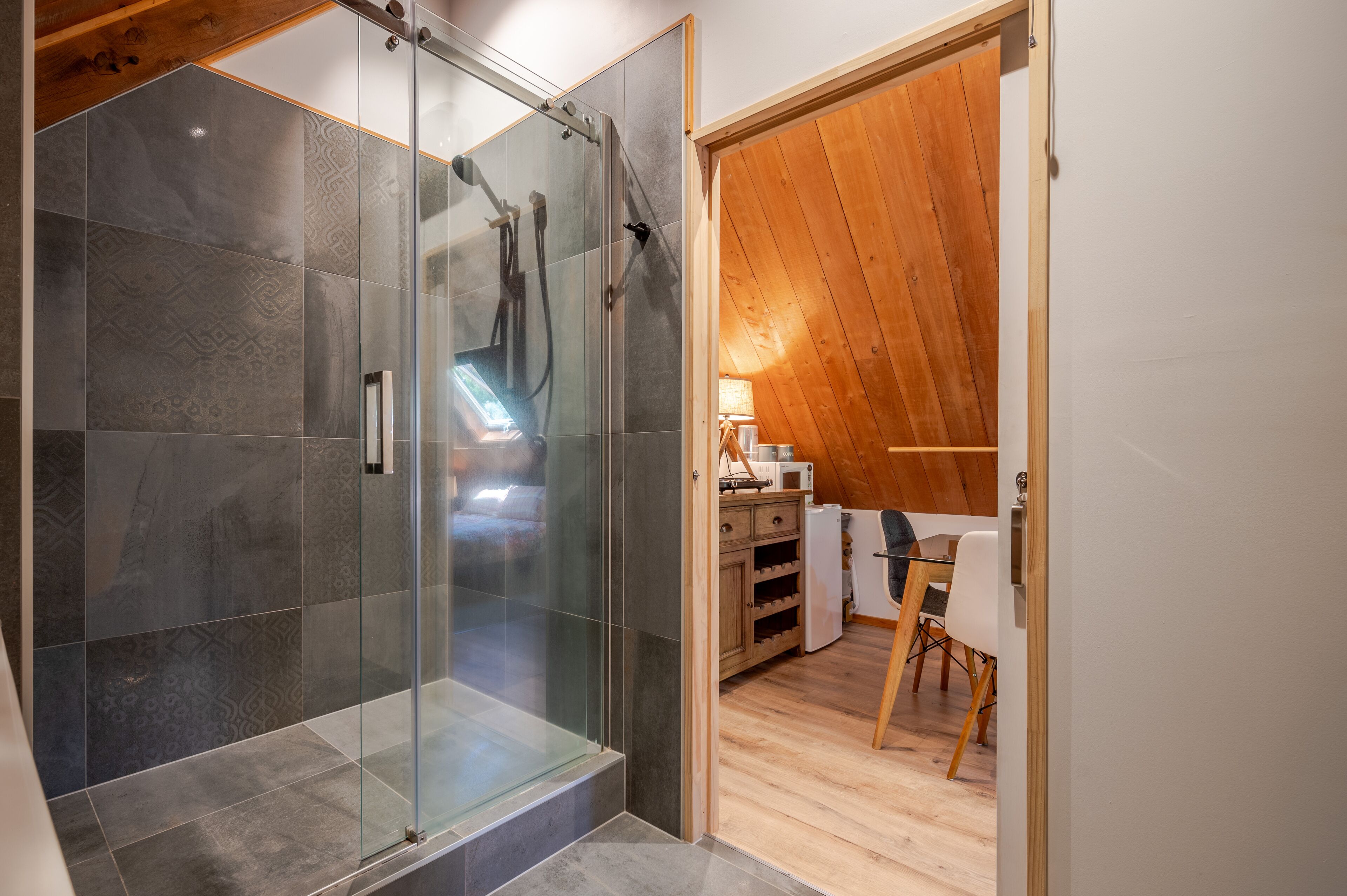 Shower, hair dryer
