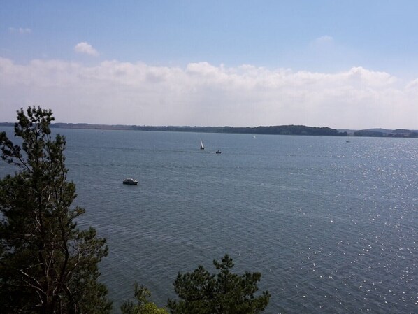 A calm body of water with several boats, surrounded by trees and a distant shoreline.