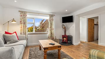 Een smart-tv, een open haard en een dvd-speler