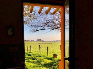 Une porte ouverte donnant sur un champ verdoyant, bordé d’une clôture en bois, et où se trouve un pot de fleurs.