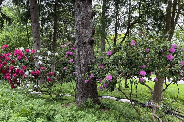 Overnatningsstedets område