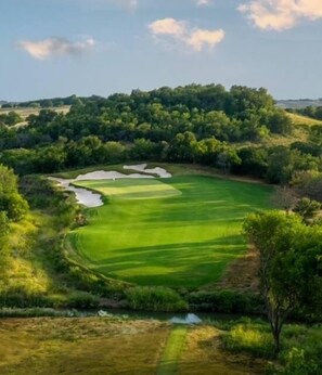 Golf - Spacious 4 Bedroom with Private Pool (Little Elm)