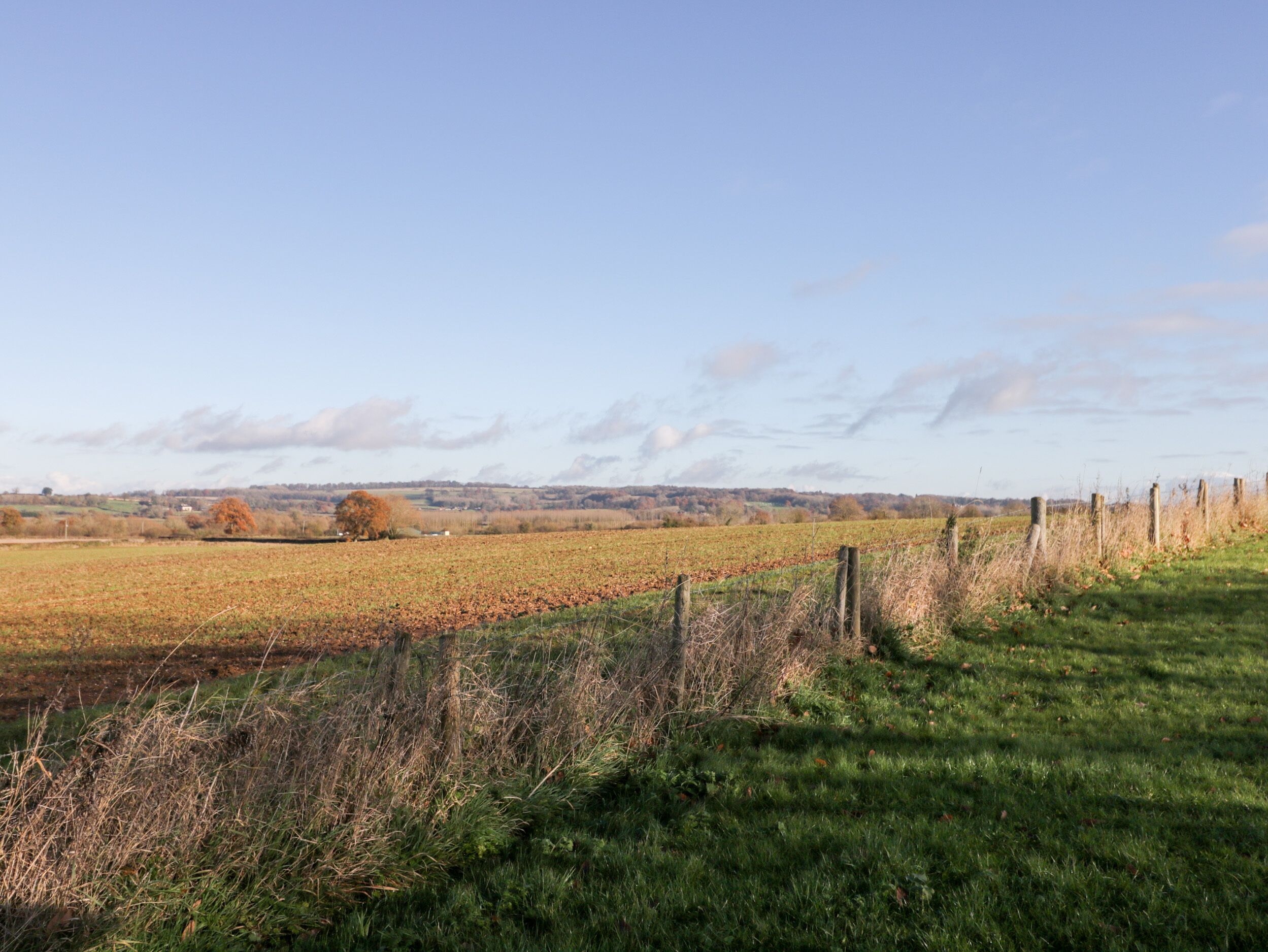 A rural landscape with a fence, open fields, and distant trees under a clear sky.