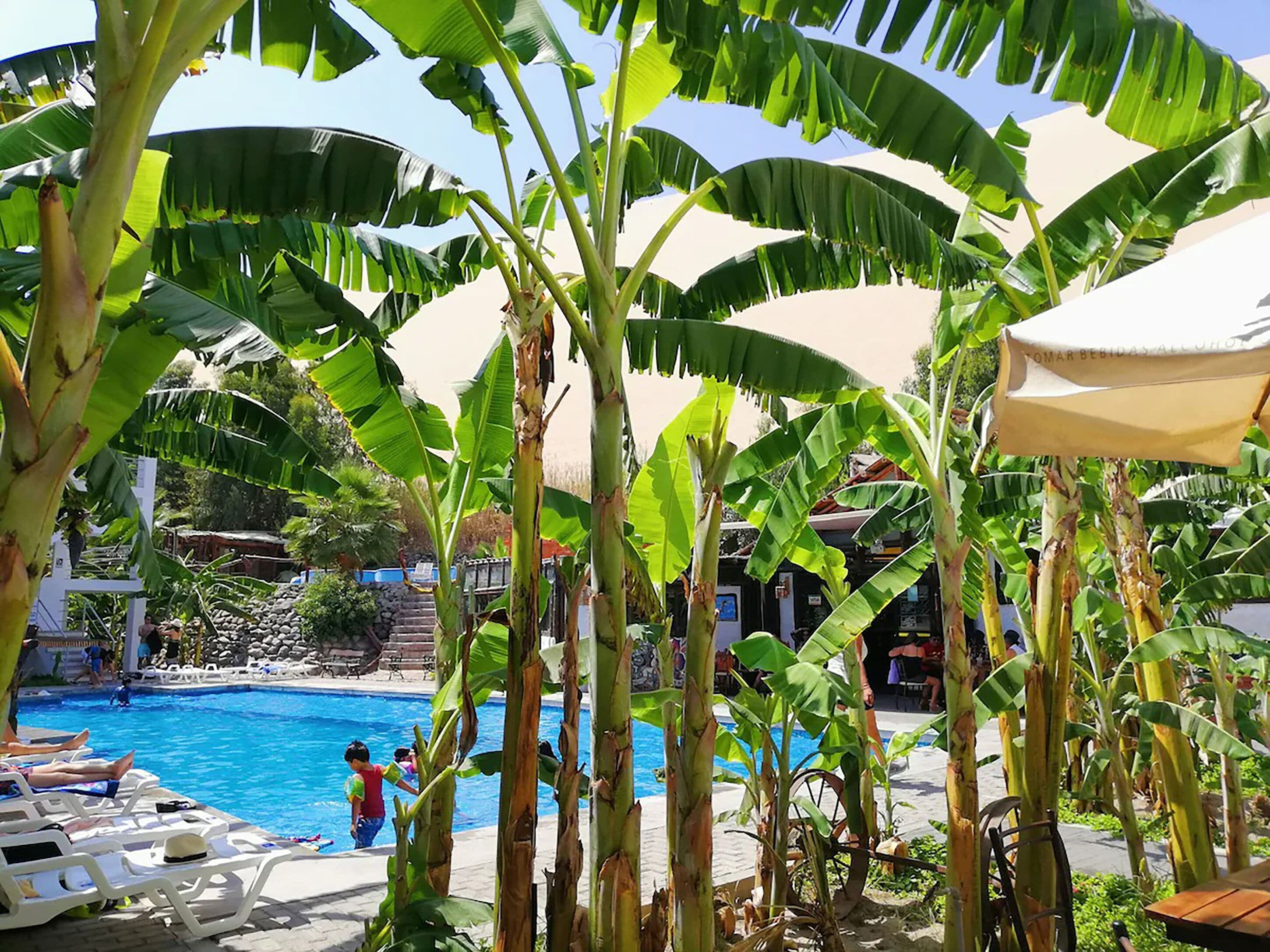 Áreas de la propiedad