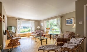 TV, fireplace, video games, DVD player