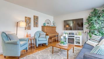 TV, fireplace, books, stereo
