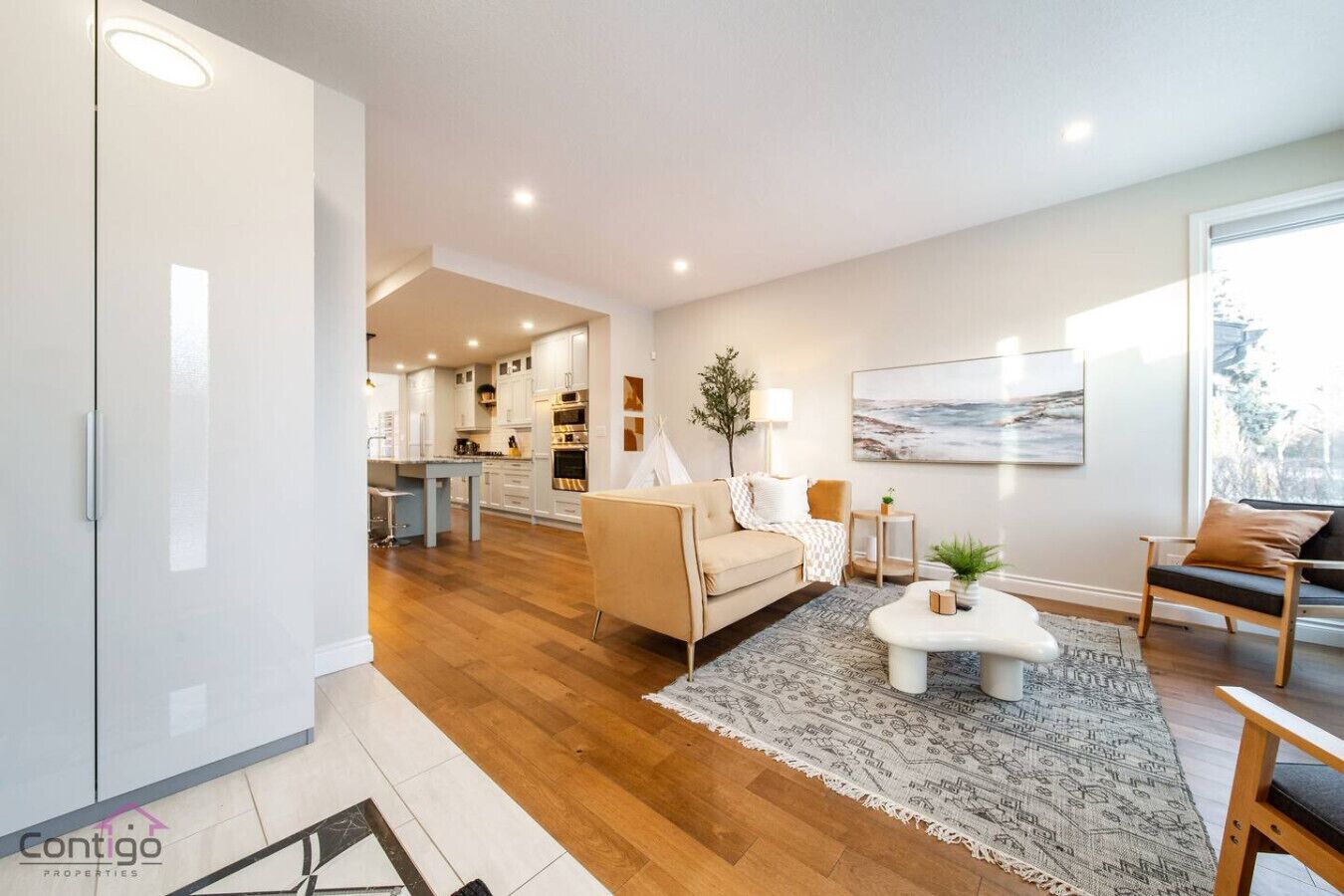 Smart TV, fireplace, books, offices