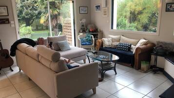 TV connectée, cheminée, livres