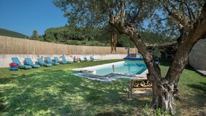 Un espace piscine avec des chaises longues et un arbre.