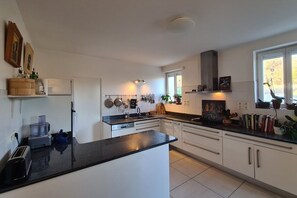 Fridge, oven, stovetop, dishwasher