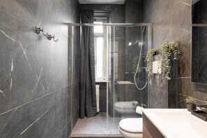 Shower, hair dryer, bidet, towels