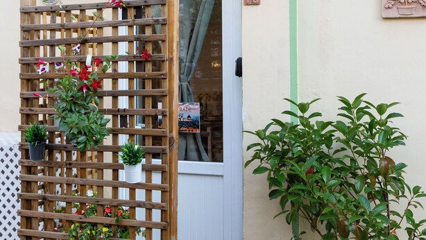 A wooden lattice with potted plants, a door with a glass panel, and a green vertical stripe on the wall. - Cozy loft with small pets allowed (Firenze)
