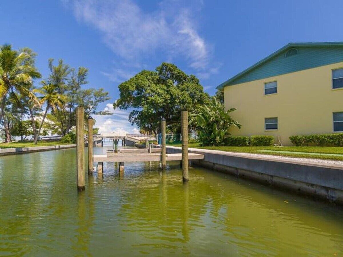 A waterfront area with a dock, a building with a green roof, and a large tree.