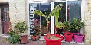 Dettaglio esterni