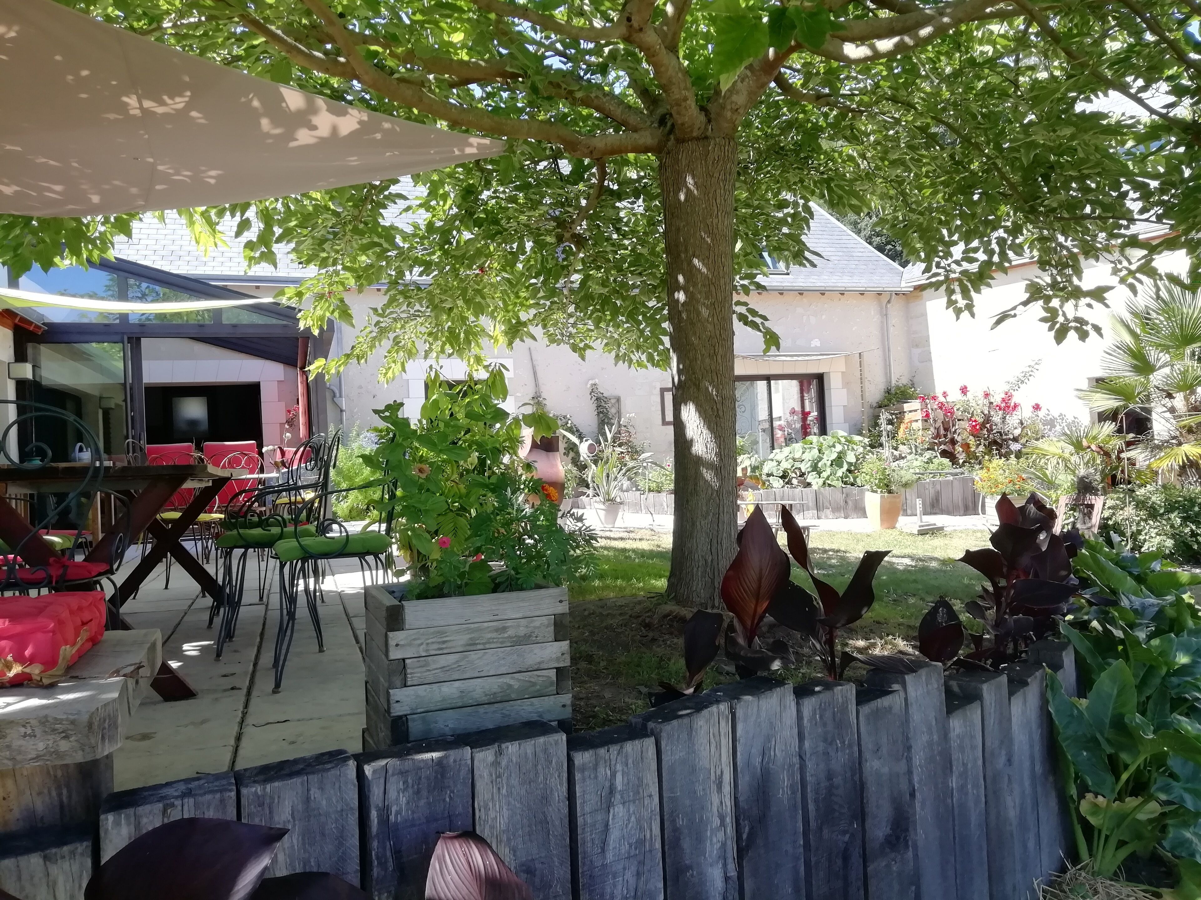 Un espace extérieur aménagé avec des sièges, un arbre et diverses plantes.