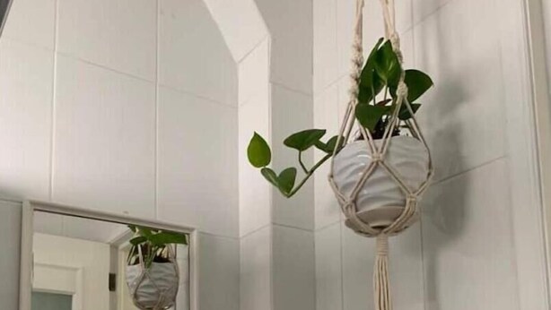 A bathroom with white tiled walls, a large mirror, and two macramé plant hangers with green plants. - Apartaestudio#4 Itesm Pequeño, Acogedor & Céntrico (Santiago de Querétaro)