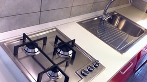 A kitchen with a gas stove, a sink, and a countertop.