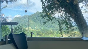 A room with a view of a mountainous landscape, a window sill, and a chair.