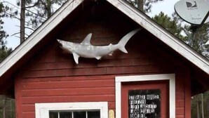Exterior detail - Lake Breeze Cabin #4 (Saint Germain)