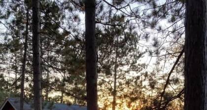 Lake Breeze Cabin #4