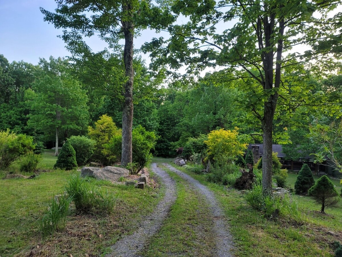 Imagen de perfil del propietario o de la propietaria