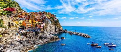 Appartement (1 Bedroom) | Intérieur