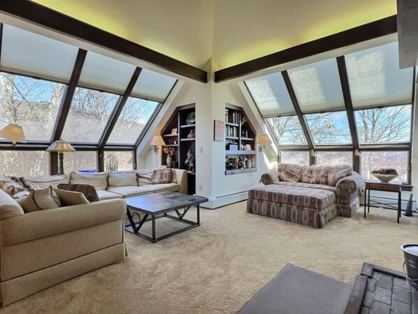 Smart TV, fireplace, stereo
