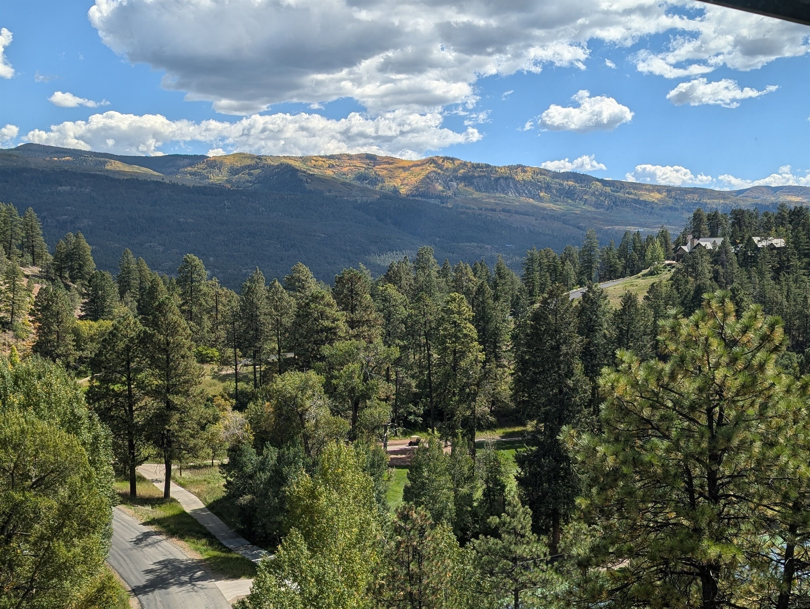 Un paisaje montañoso con bosques densos y un camino sinuoso.