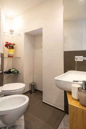 Shower, hair dryer, bidet, towels