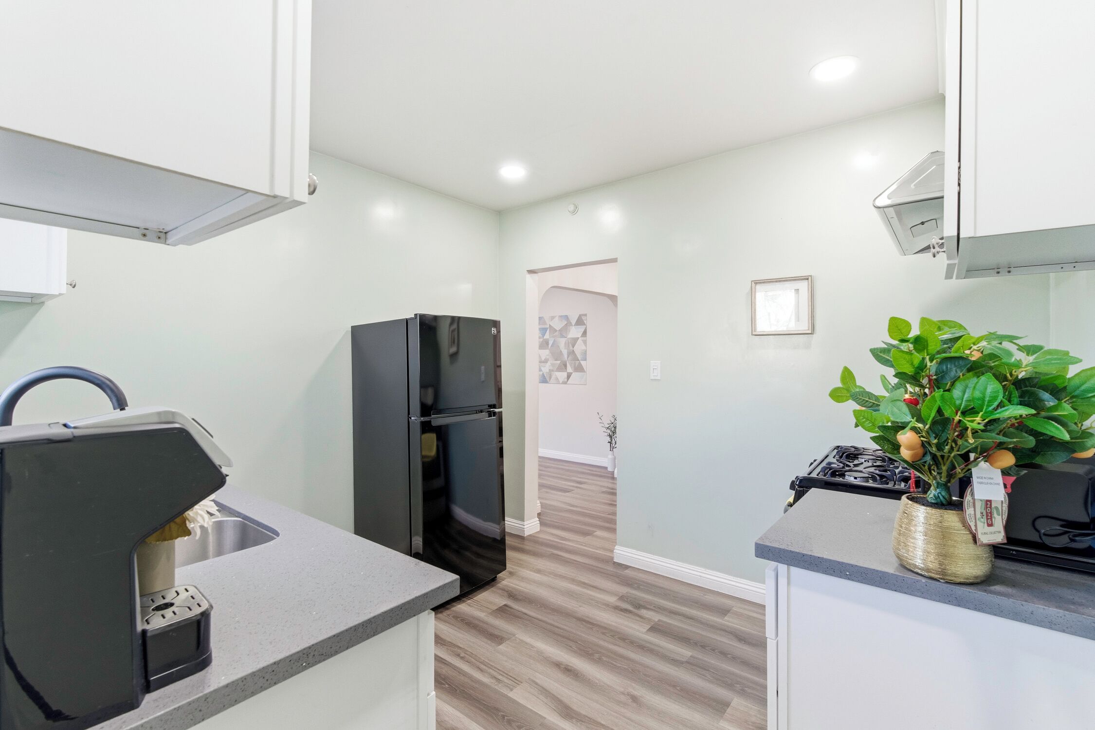 Fridge, oven, stovetop