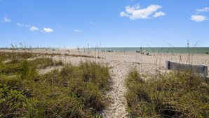 Ein sandiger Strand mit blauem Himmel und vereinzelten Wolken. Im Vordergrund befinden sich einige Pflanzen und in der Ferne ein paar Personen.
