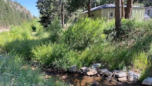A natural stream with rocks and vegetation, surrounded by trees and a building in the background.