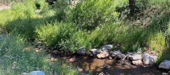 Dog-friendly Buffalo Bill Lodge on Coal Creek