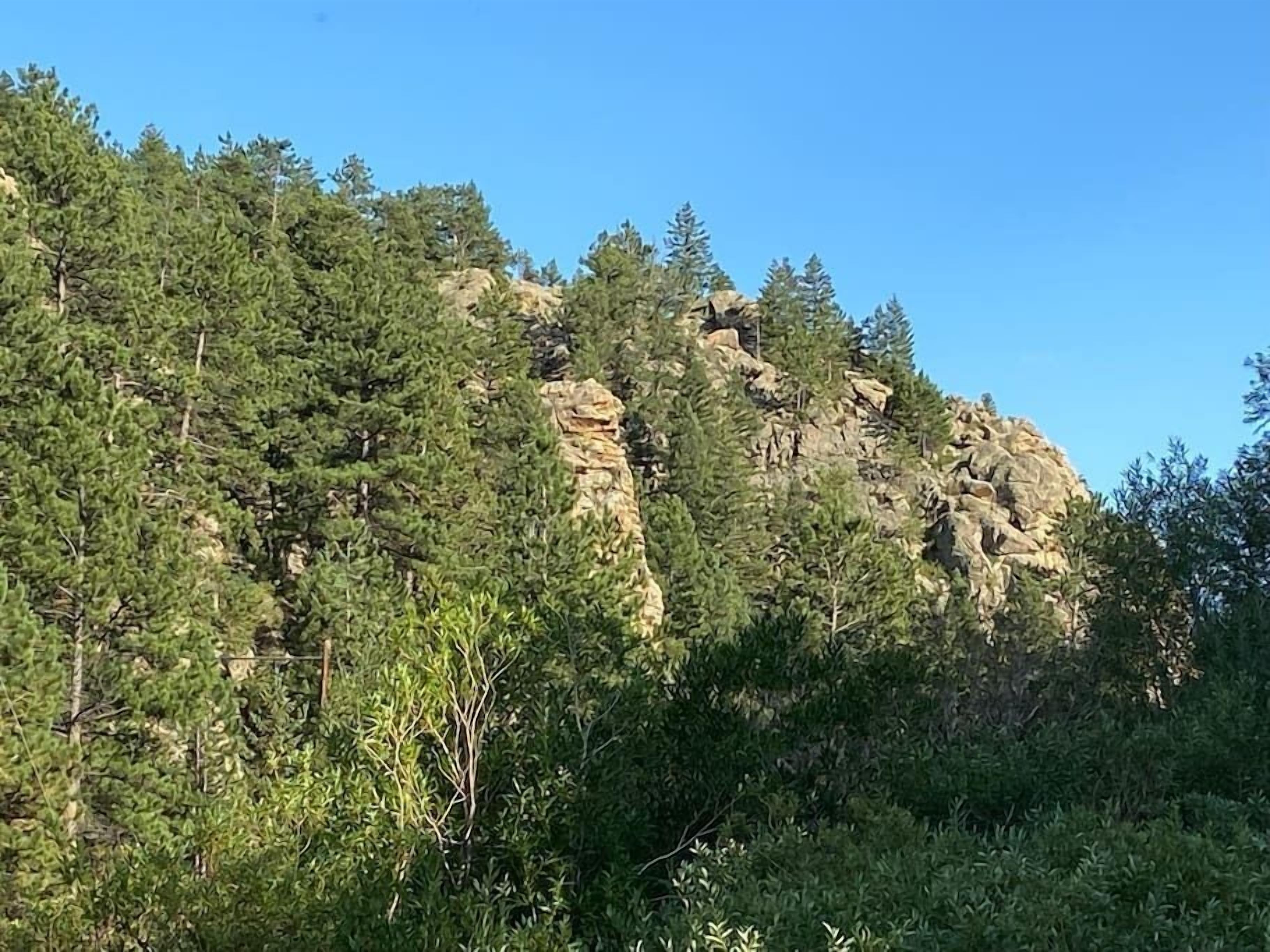 Una montaña rocosa con árboles verdes y frondosos.