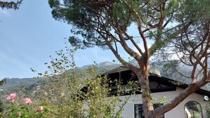 Une maison à l’extérieur blanc, avec un grand arbre devant et une montagne en arrière-plan.