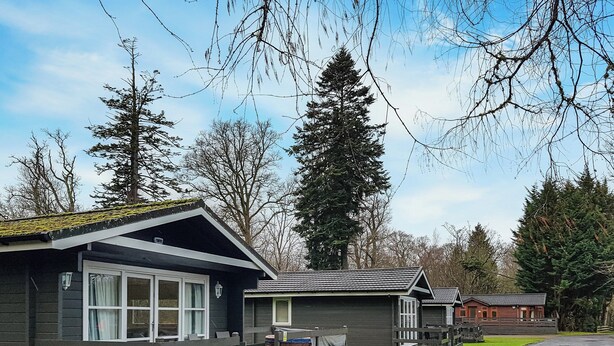 A row of cabins with a grassy yard and a wooden deck. - Leven Lodge 3 - UK46045 (Loch Lomond)